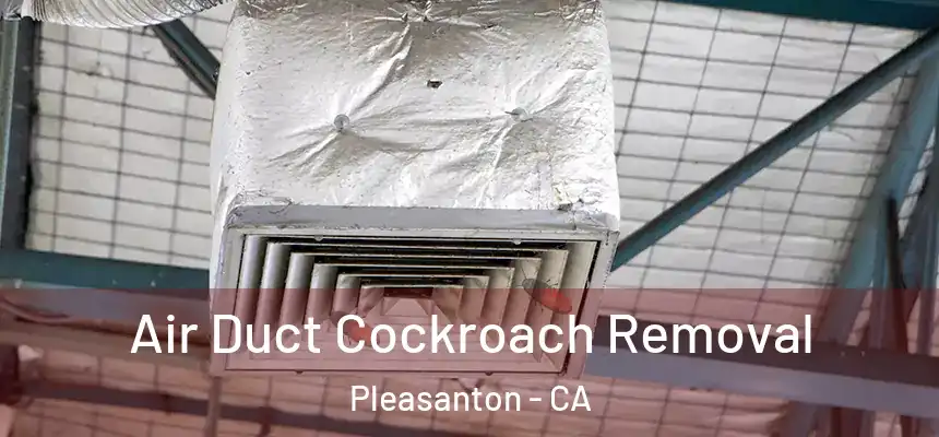 Air Duct Cockroach Removal Pleasanton - CA