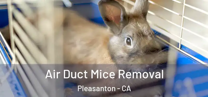 Air Duct Mice Removal Pleasanton - CA