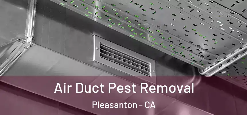 Air Duct Pest Removal Pleasanton - CA