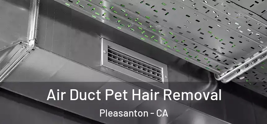 Air Duct Pet Hair Removal Pleasanton - CA