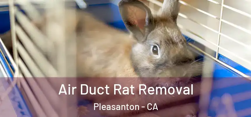 Air Duct Rat Removal Pleasanton - CA