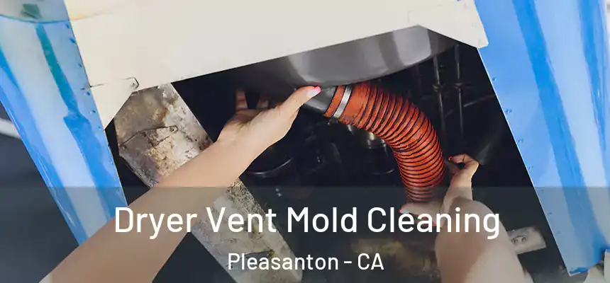 Dryer Vent Mold Cleaning Pleasanton - CA