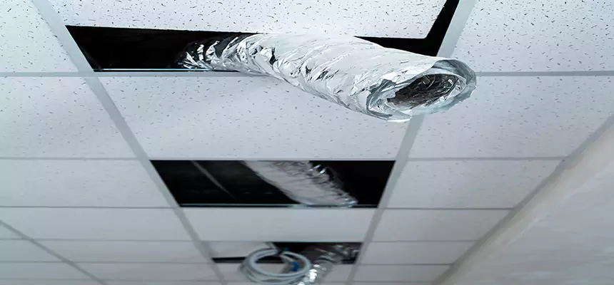 Affordable HVAC Sanitizing After Pest Removal in Pleasanton