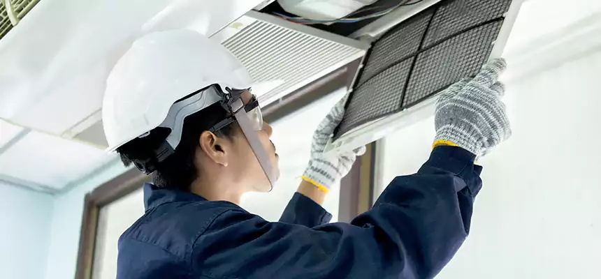 Our Mold & Mildew Removal from Air Ducts Services in Pleasanton, CA