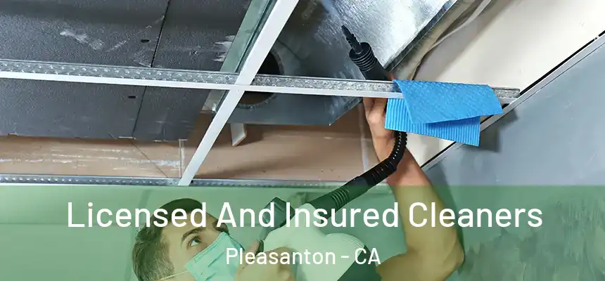Licensed And Insured Cleaners Pleasanton - CA