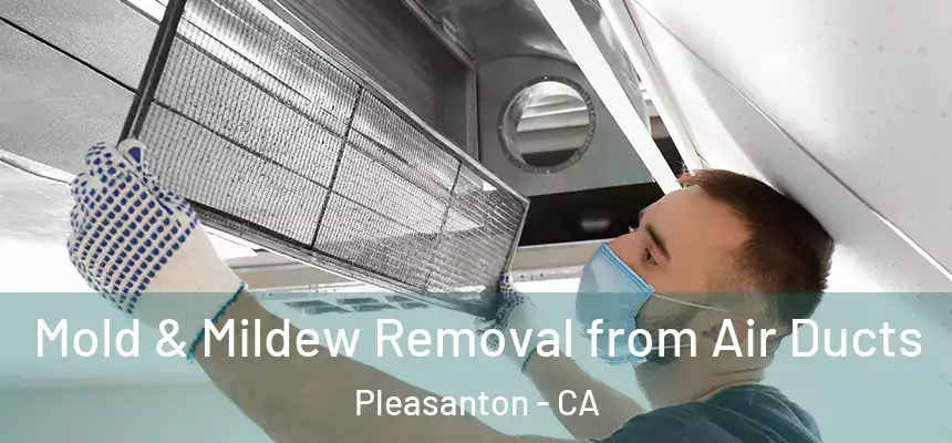Mold & Mildew Removal from Air Ducts Pleasanton - CA