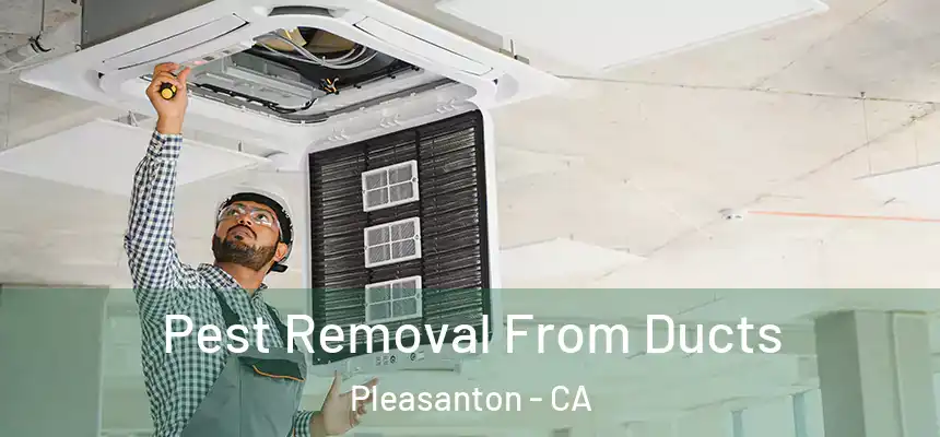 Pest Removal From Ducts Pleasanton - CA