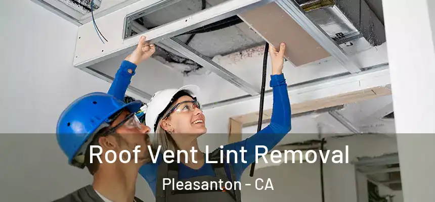 Roof Vent Lint Removal Pleasanton - CA