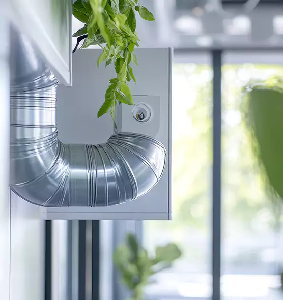 Professional Eco-Safe Dryer Vent Cleaning in Pleasanton, CA