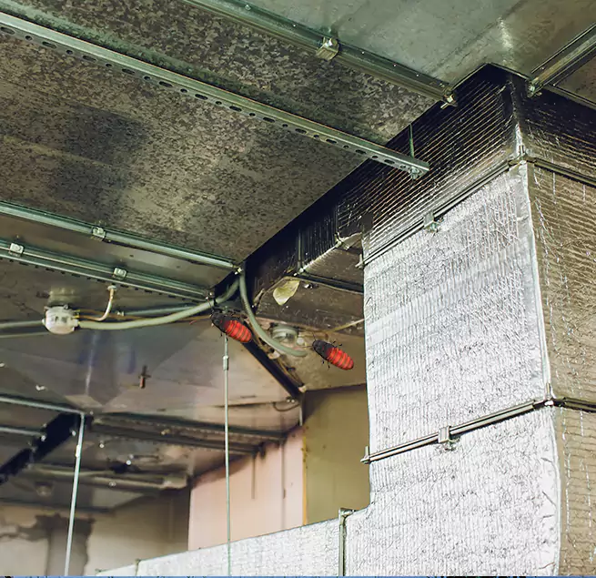 Why Homeowners & Businesses Trust Us in Pleasanton, CA?