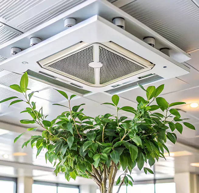 Why Homeowners & Businesses Trust Us in Pleasanton, CA?