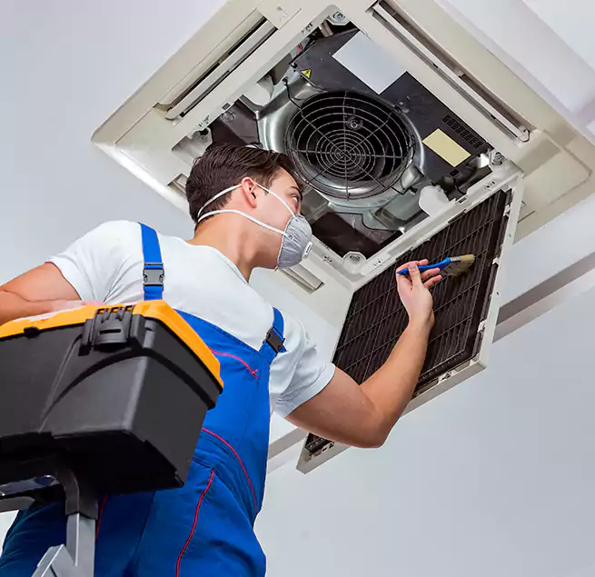 Why Homeowners & Businesses Trust Us in Pleasanton, CA?